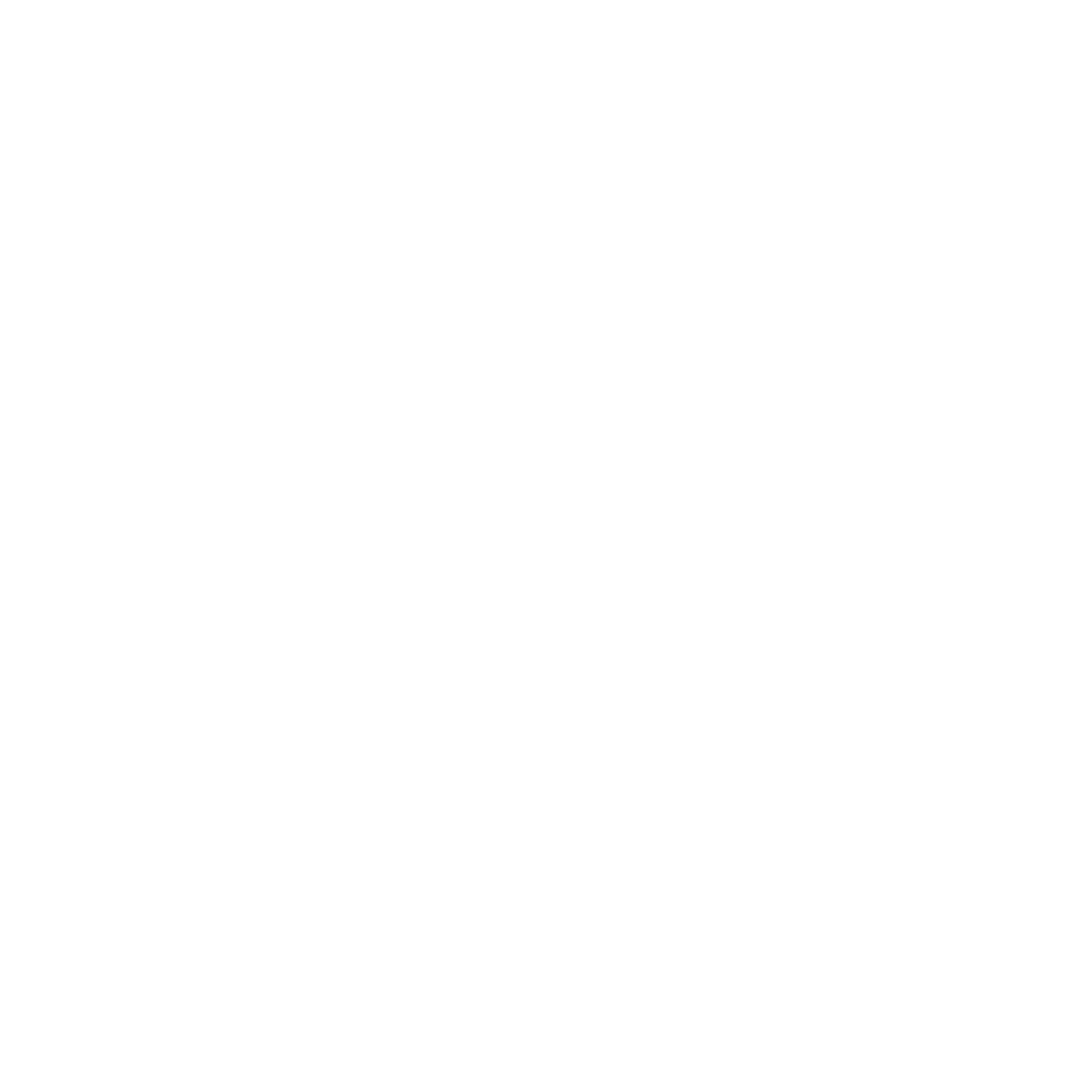 Rubicon Point Partners Logo